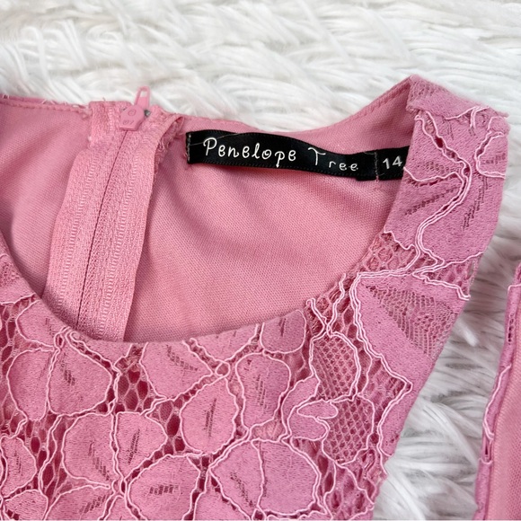 Penelope Tree sleeveless lace fit and flare dress in pink - Picture 2 of 8